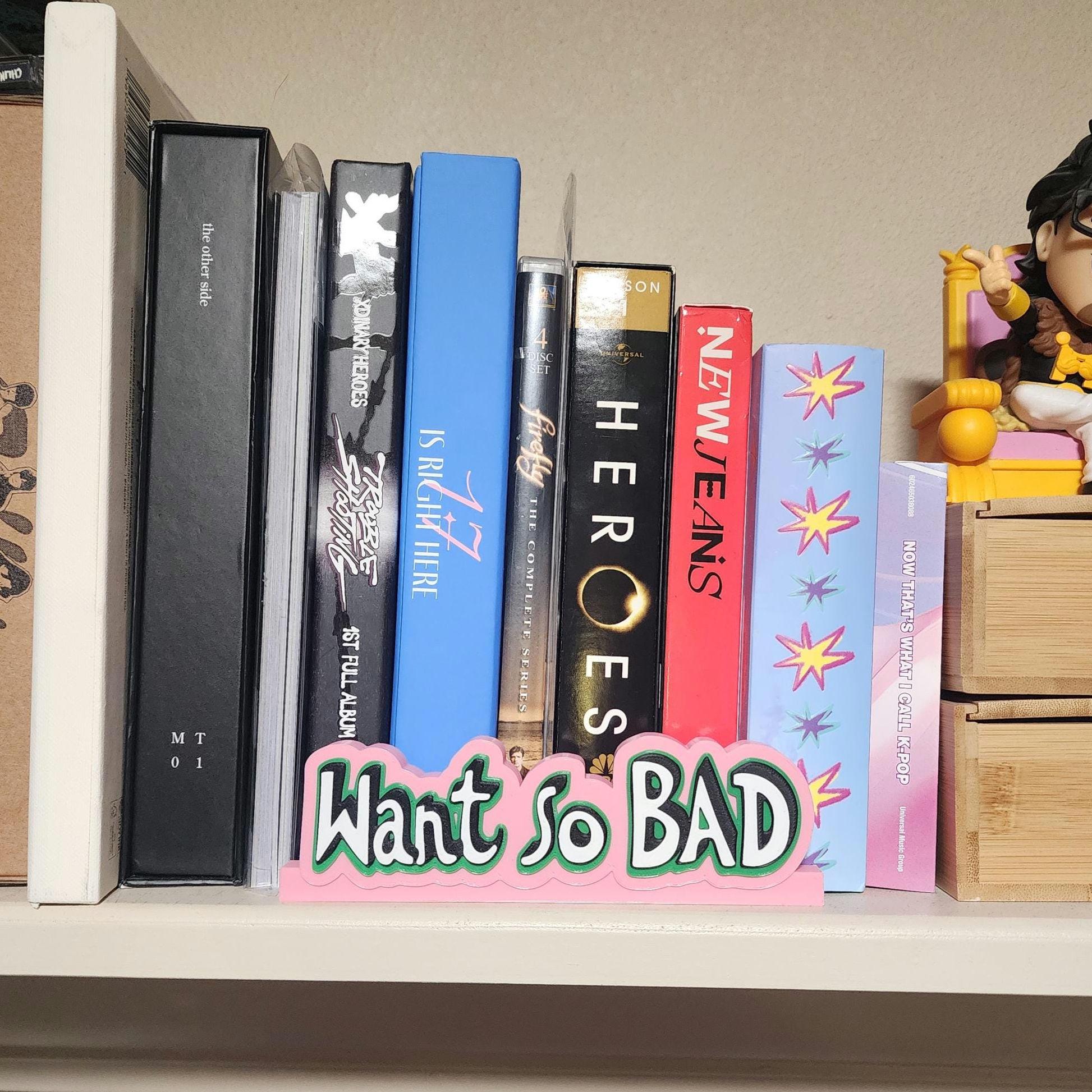 Stray Kids Want So Bad Standee