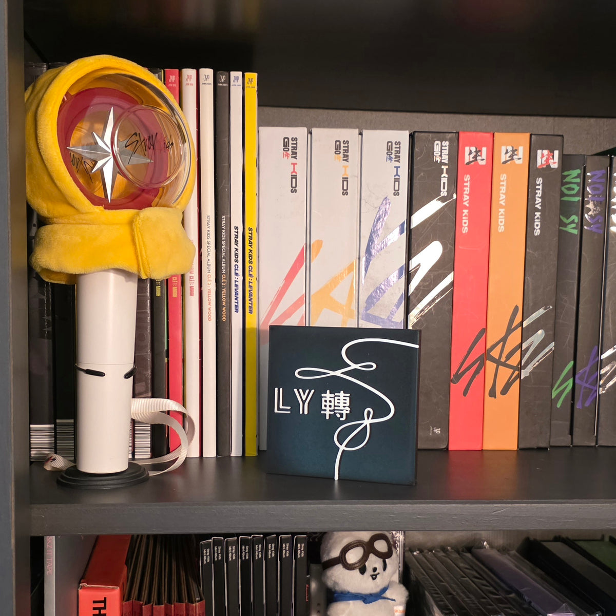BTS LYS: Tear K-Pop Logo Standee